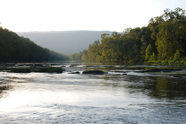Shenandoah River Smallmouth Bass Stream
