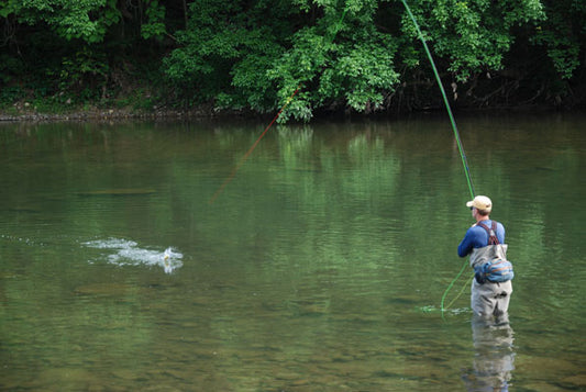 Jeff Murray Shenandoah River Smallmouth Bass Fly Fishing