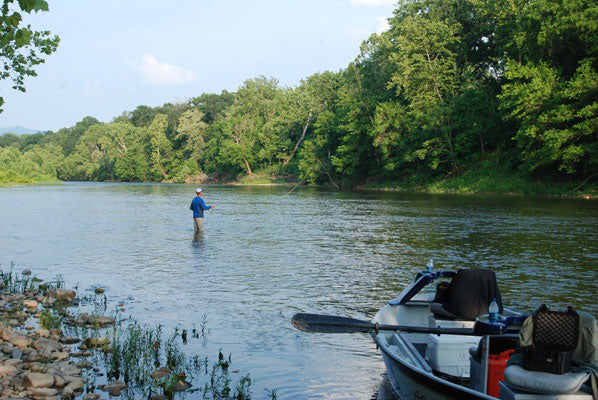 Smallmouth Bass Stream