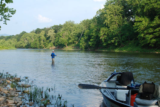 Smallmouth Bass Stream