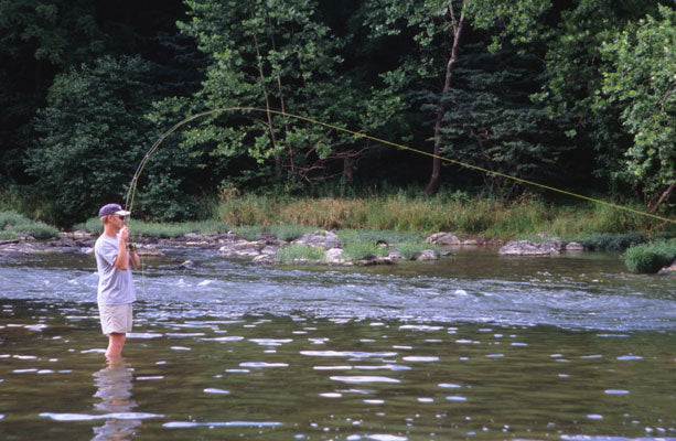 Jeff Murray Smallmouth Bass Fly Fishing