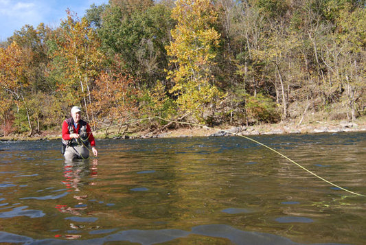 Harry Murray Smallmouth Bass Stream Fly Fishing
