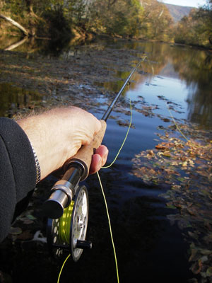 Harry Murray Smallmouth Bass Streams Fly Fishing