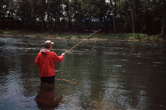 Student Smallmouth Bass School