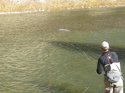 Stocked Trout Streams Fly Fishing Report - January 13, 2022