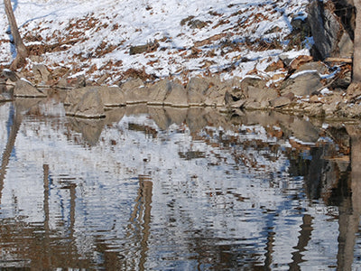 Stocked Trout Streams Fly Fishing Report - January 20, 2022