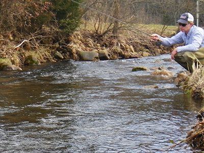 Delayed Harvest and Stocked Trout Streams Fly Fishing Report - Update February 4, 2022