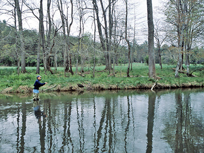 Stocked Trout Streams Fly Fishing Report - April 1, 2021