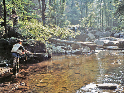 Stocked Trout Streams Fly Fishing Report - October 6, 2021