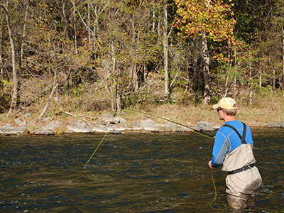 Stocked Trout Streams Fly Fishing Report - October 8, 2020