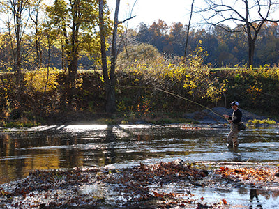 Stocked Trout Streams Fly Fishing Report - October 16, 2020