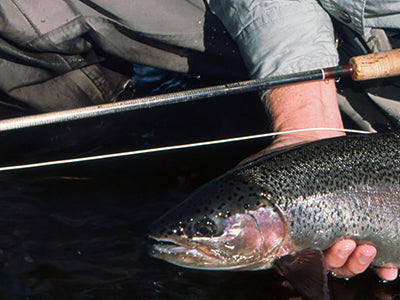 Stocked Trout Streams Fly Fishing Report - October 28, 2021