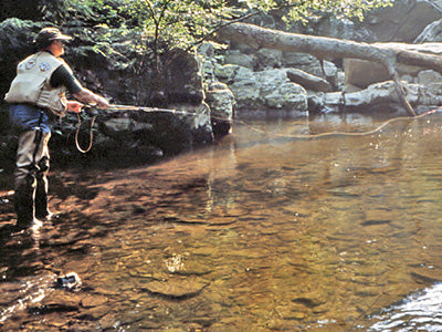 Stocked Trout Streams Fly Fishing Report - November 5, 2020