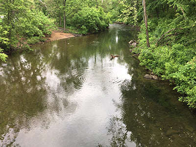 Stocked Trout Streams Fly Fishing Report - May 28, 2020
