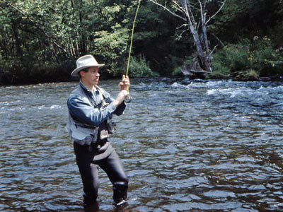 Stocked Trout Streams Fly Fishing Report - August 21, 2018