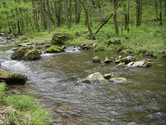 UPDATED Large Stocked Trout Streams Fly Fishing Report -July 31, 2017