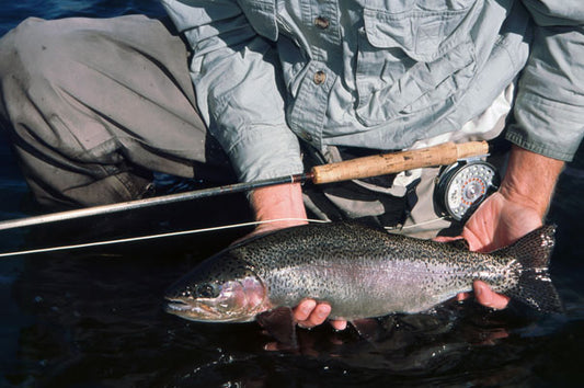 Delayed Harvest and Large Stocked Trout Streams Fly Fishing Report- December 19, 2017