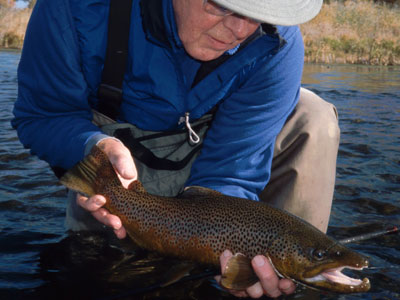 Delayed Harvest and Large Stocked Trout Streams Fly Fishing Report--April 23, 2018