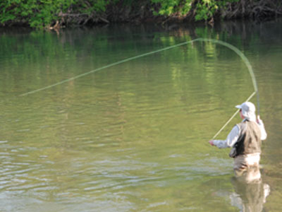 Smallmouth Bass Streams Fly Fishing Report-Update May 17, 2018