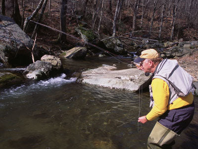 Mountain Trout Streams Fly Fishing Report-May 15, 2018