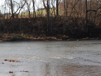 Smallmouth Bass Streams Fly Fishing Report - February 27, 2019