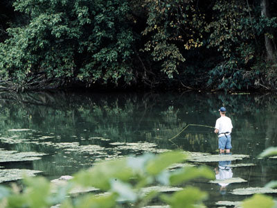 Smallmouth Bass Streams Fly Fishing Report - June 26, 2019