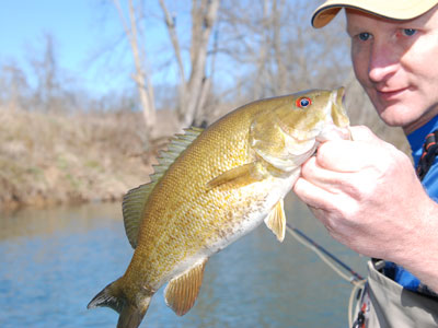 Smallmouth Bass Streams Fly Fishing Report - July 6, 2019