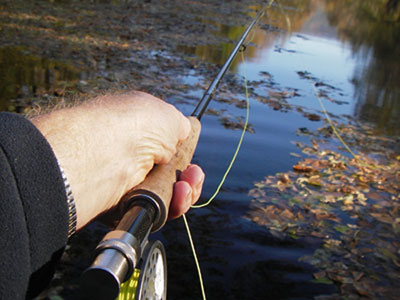 Smallmouth Bass Streams Fly Fishing Report - December 5, 2018