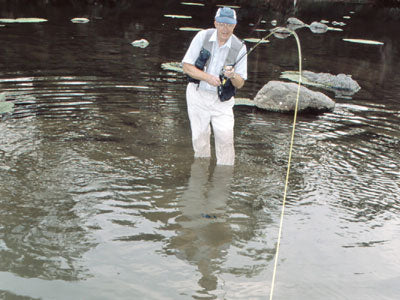 Smallmouth Bass Streams Fly Fishing Report - August 1, 2019