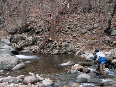 Mountain Trout Streams Fly Fishing Report - April 4, 2019