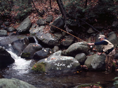 Mountain Trout Streams Fly Fishing Report - April 11, 2019