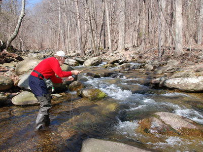 Mountain Trout Streams Fly Fishing Report - April 20, 2019