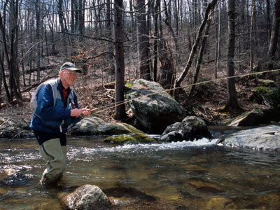 Mountain Trout Streams Fly Fishing Report - May 9, 2019