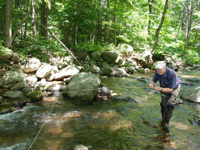 Mountain Trout Streams Fly Fishing Report - June 6, 2019