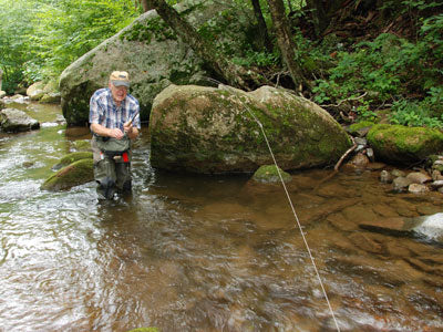 Mountain Trout Streams Fly Fishing Report - June 20, 2019