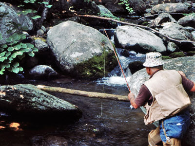 Mountain Trout Streams Fly Fishing Report - June 27, 2019