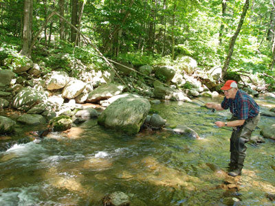 Mountain Trout Streams Fly Fishing Report - August 28, 2019