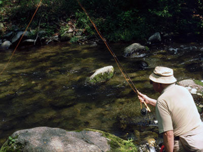 Mountain Trout Streams Fly Fishing Report - September 4, 2018