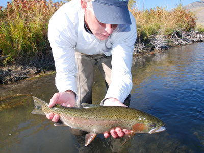 Stocked Trout Streams Fly Fishing Report - Update February 12, 2019