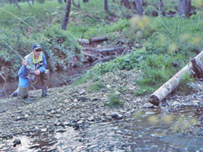 Stocked Trout Streams Fly Fishing Report - March 27, 2019