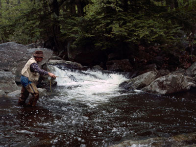 Stocked Trout Streams Fly Fishing Report - April 25, 2019
