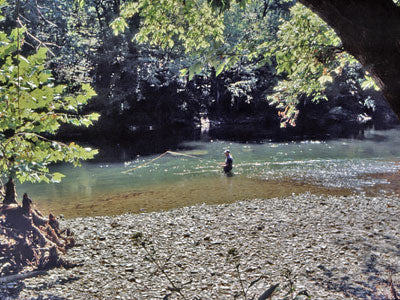 Stocked Trout Streams Fly Fishing Report - June 27, 2019