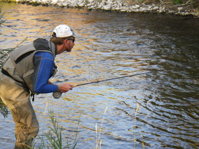 Stocked Trout Streams Fly Fishing Report - August 16, 2019