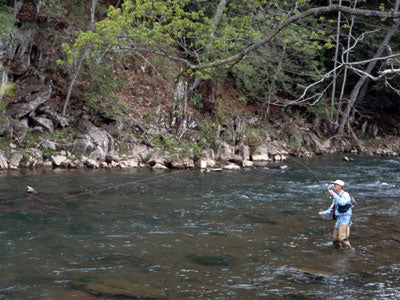 Stocked Trout Streams Fly Fishing Report - November 1, 2019