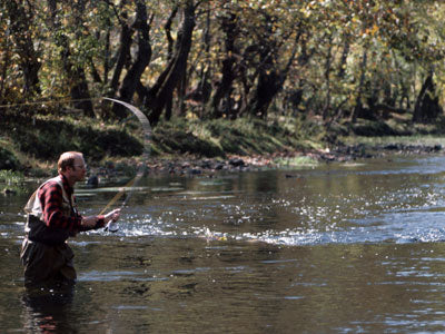 Stocked Trout Streams Fly Fishing Report - November 14, 2019