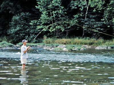 Stocked Trout Streams Fly Fishing Report - August 1, 2019