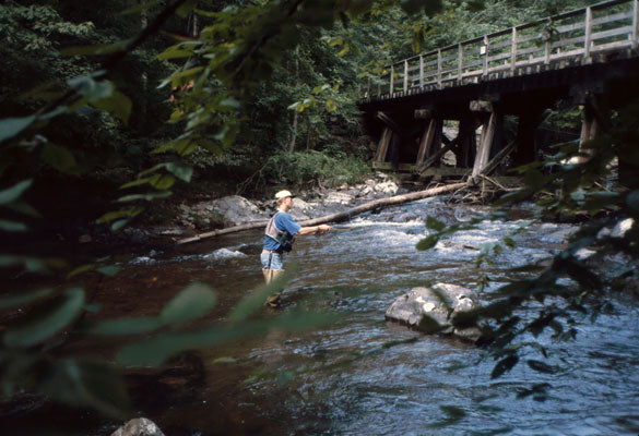 Fly Fishing Report for Stocked Trout Streams