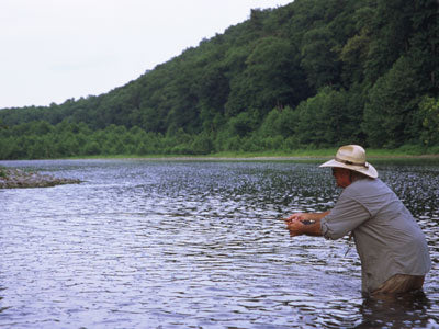 Smallmouth Bass Streams Fly Fishing Report - Update August 2, 2018