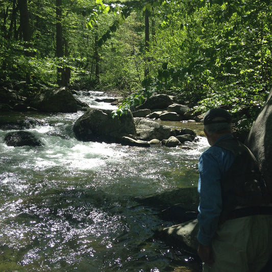 Mountain Trout Streams Fly Fishing Report- May 26, 2017