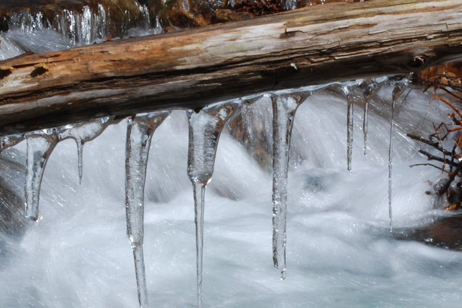 Trout Streams Fly Fishing Report - February 17, 2026